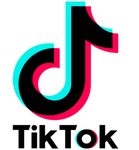 TikTok written in black color below its logo